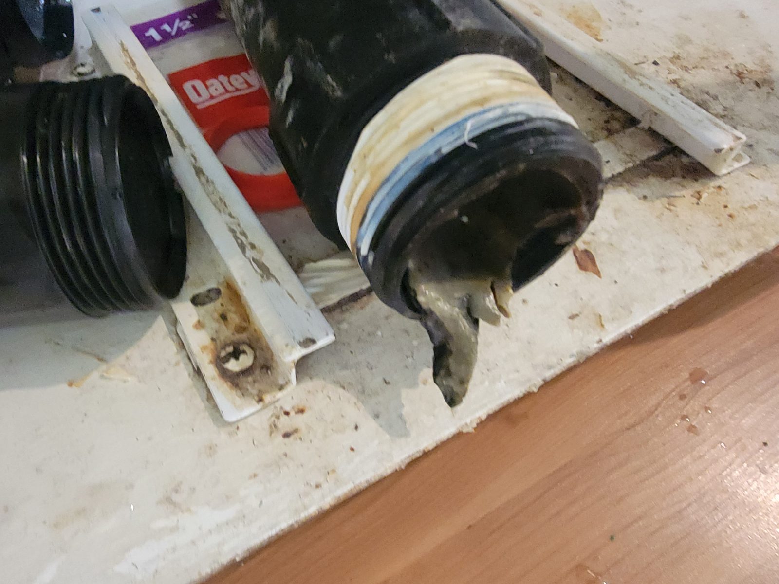 Biological growth inside a dishwasher from improper use and maintenance