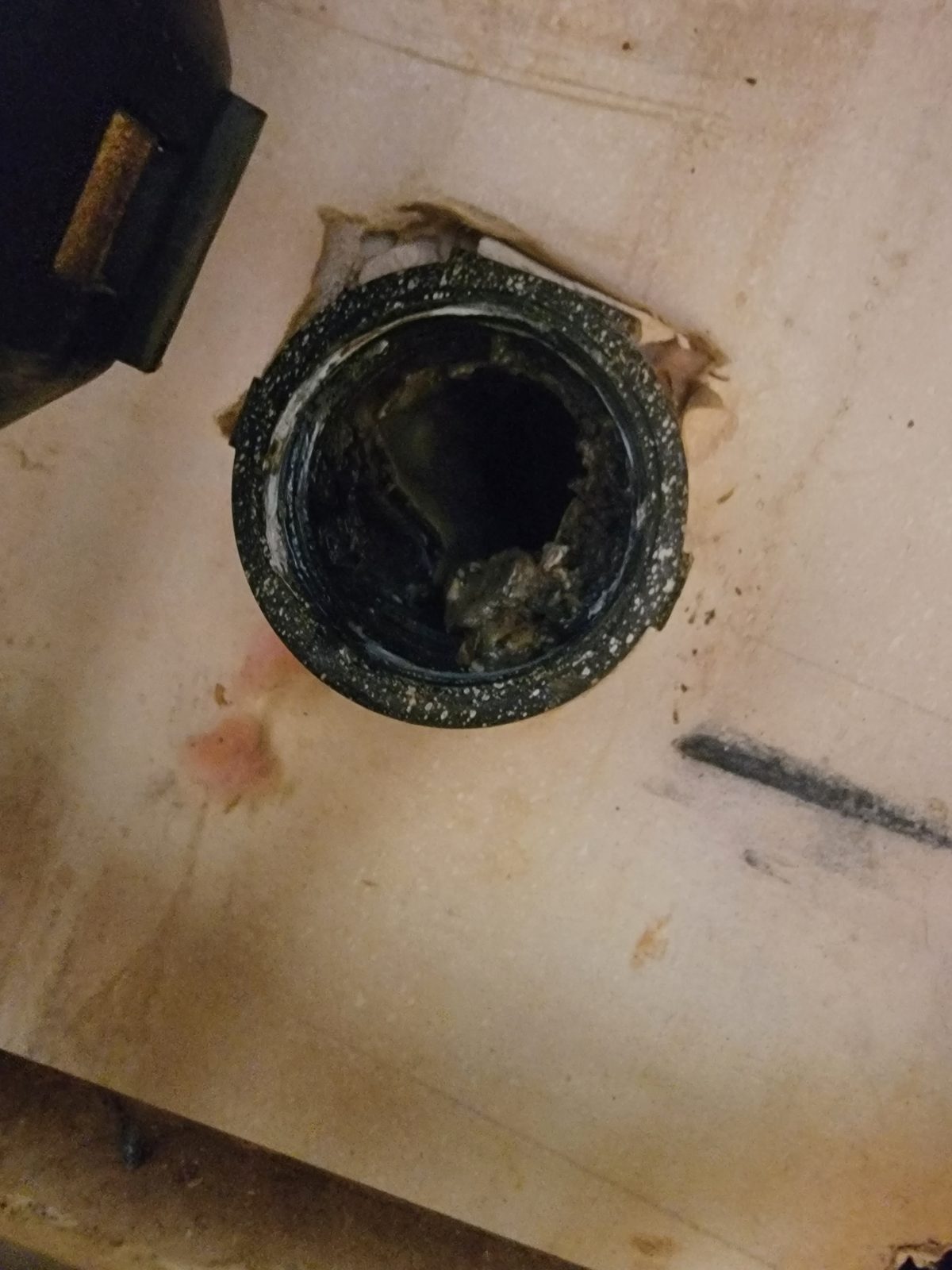 Biological growth inside a dishwasher, second view