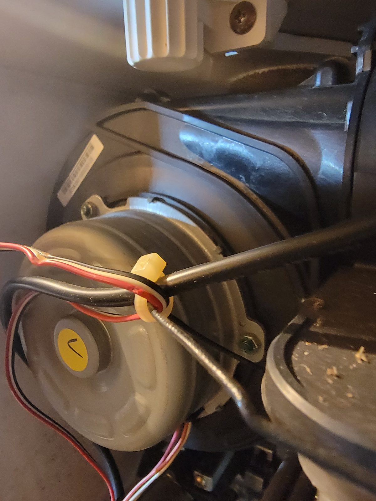 Dishwasher water pump
