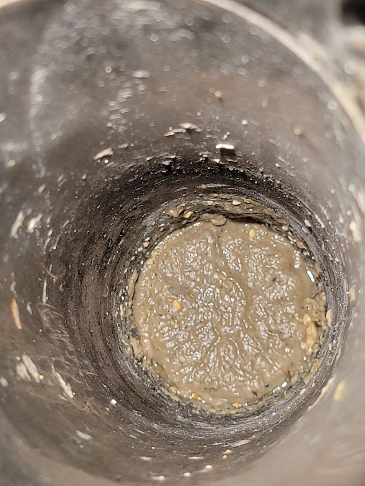 Food sludge and biological growth clogging a pipe from a dishwasher