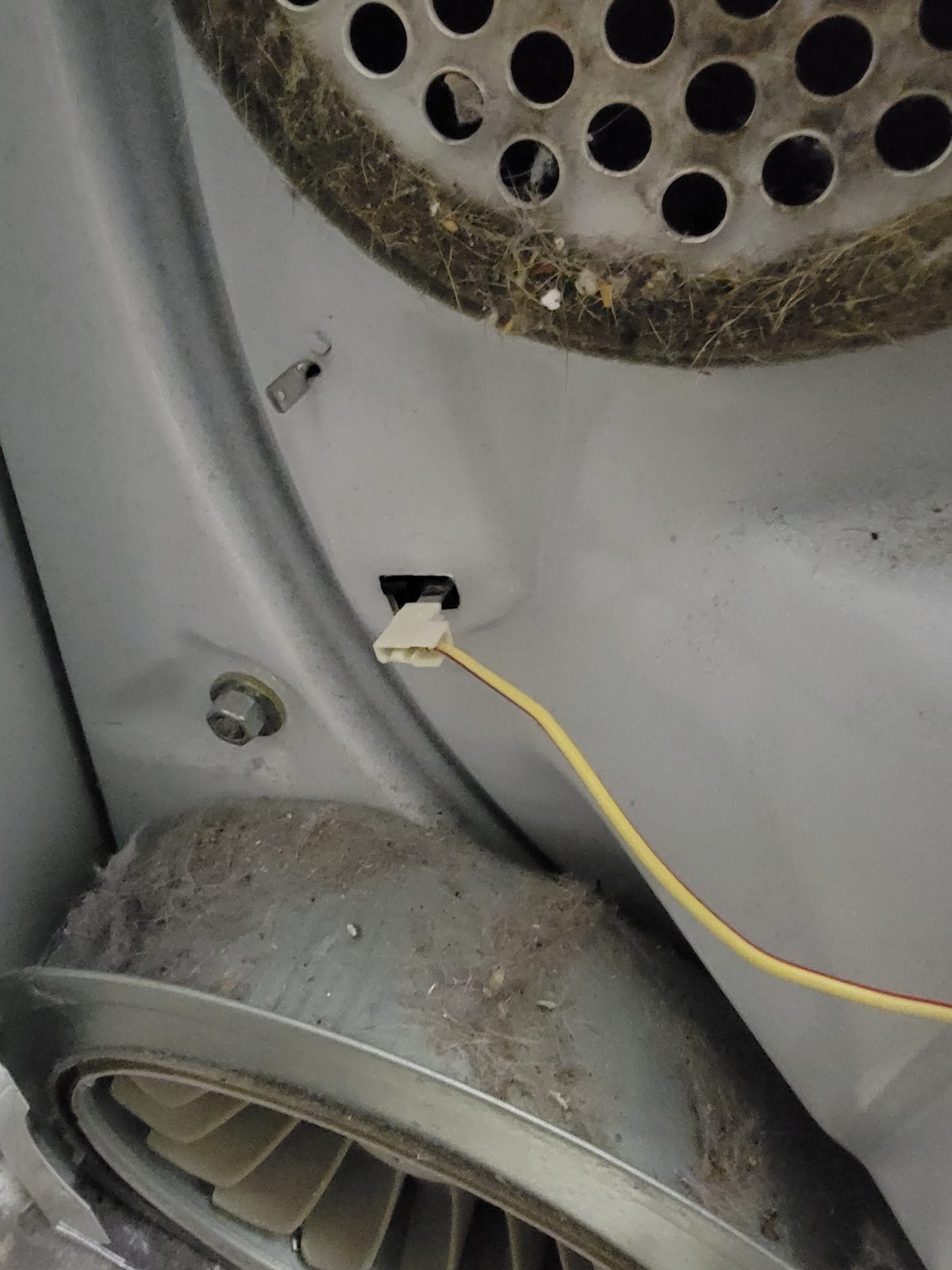 Dirty dryer internals