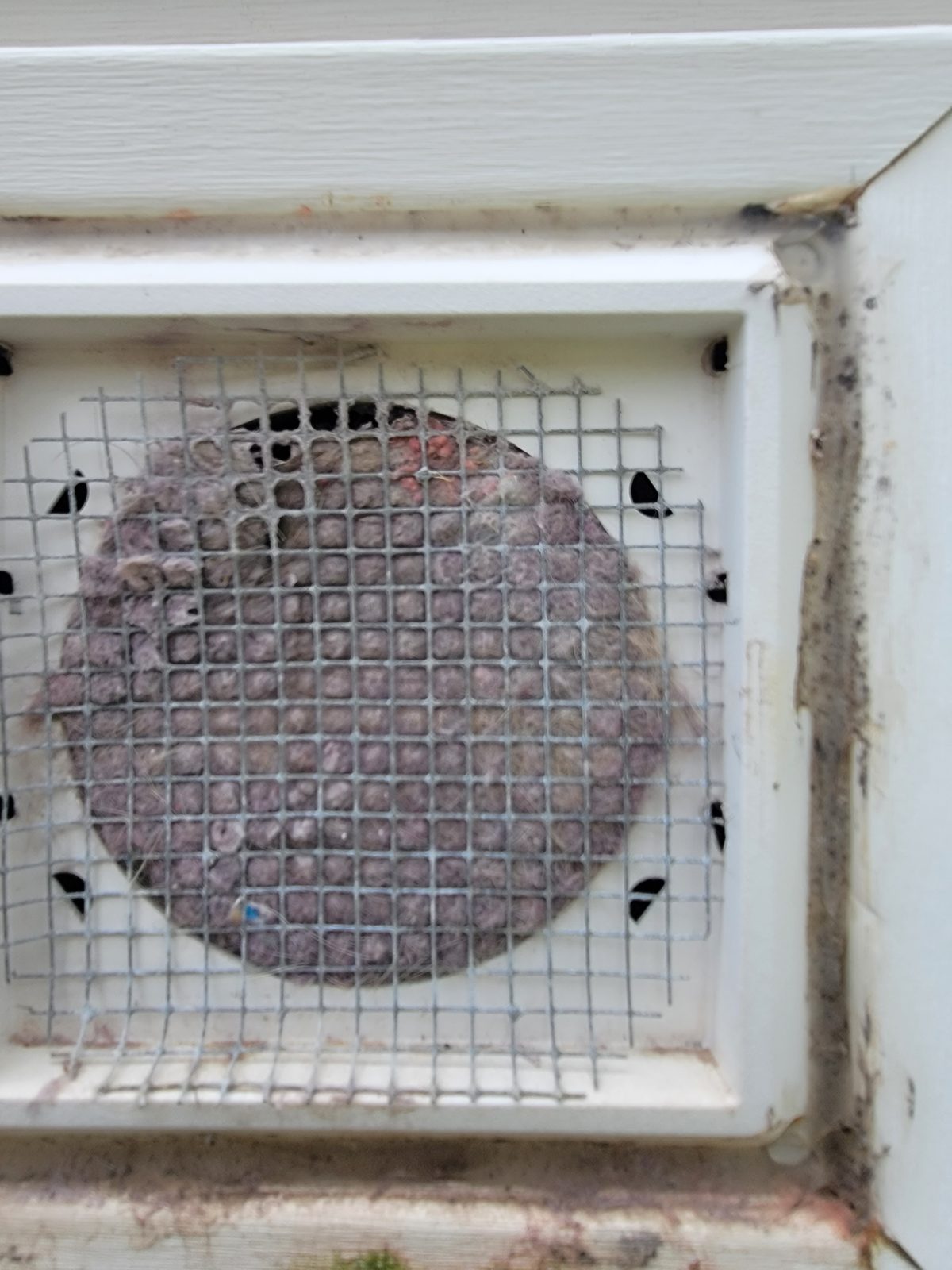 Clogged dryer vent at the home exterior