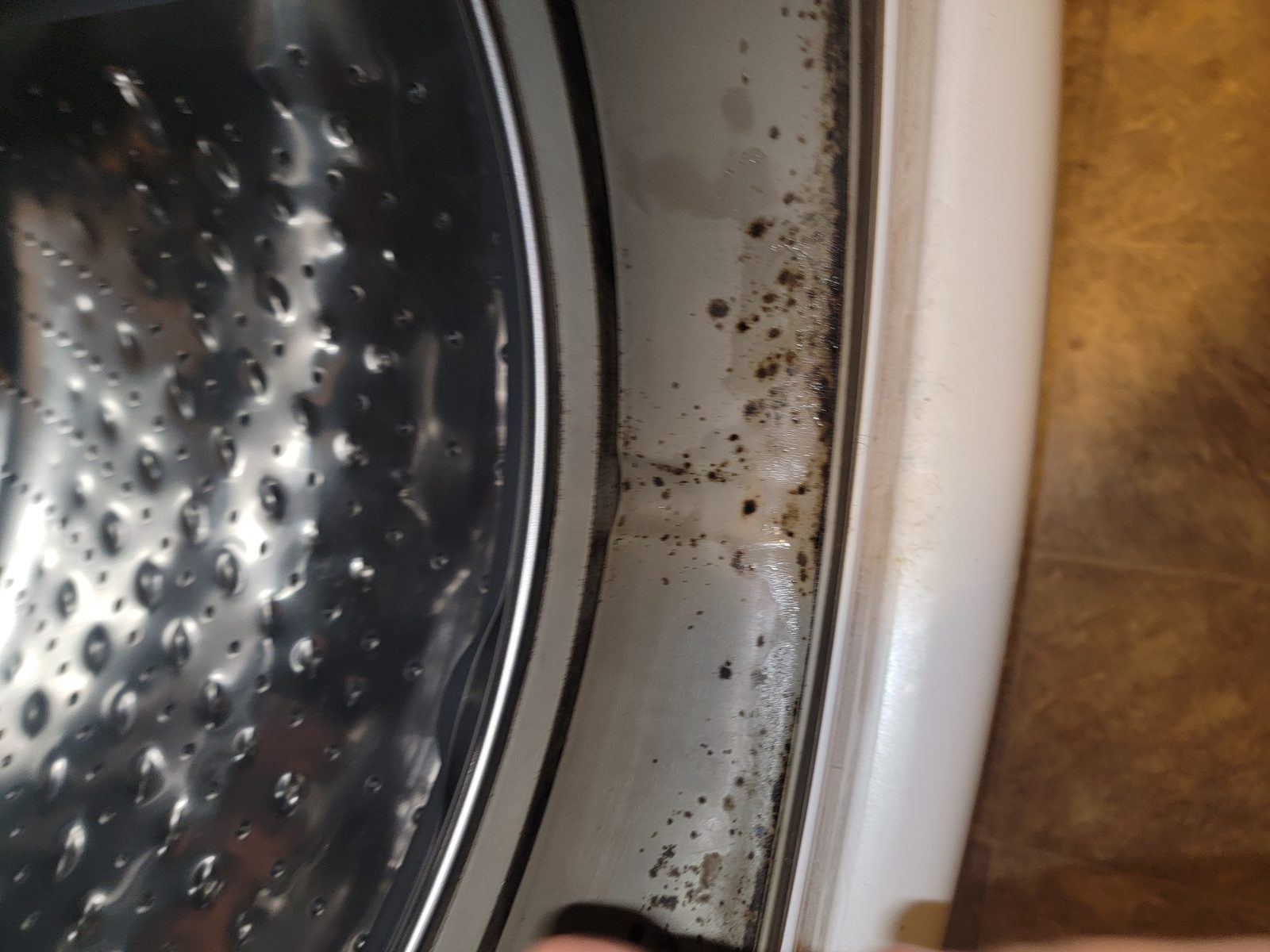 Mold growth from a bad washing machine seal