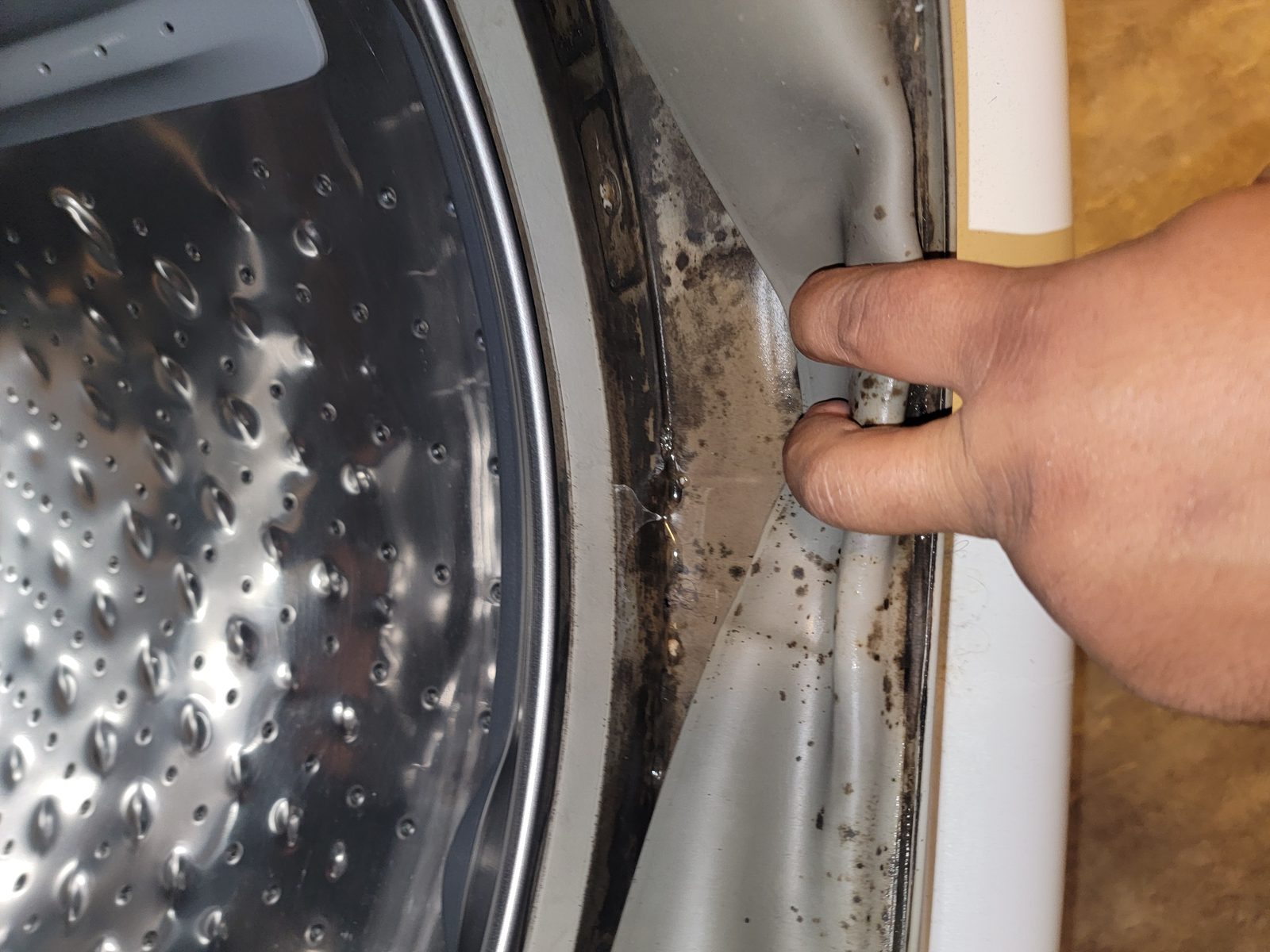 Mold growth from a bad washing machine seal, second view